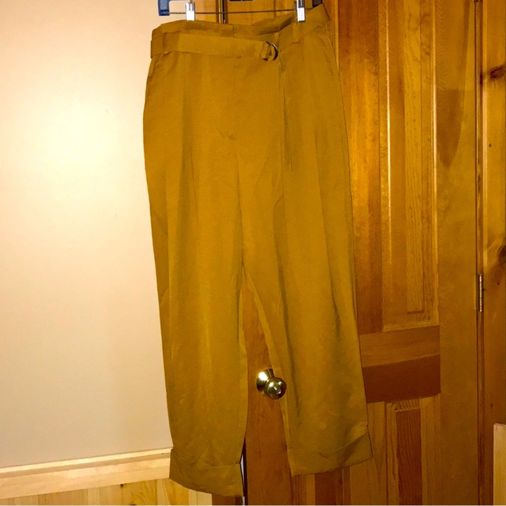 Plus size Elizabeth and James slacks